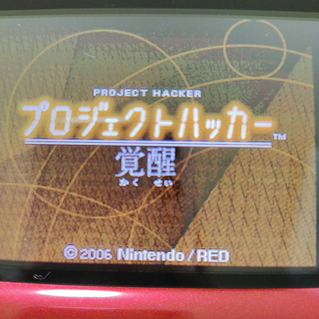 ニンテンドーDS(ニンテンドーDS)のプロジェクトハッカー 覚醒 エンタメ/ホビーのゲームソフト/ゲーム機本体(携帯用ゲームソフト)の商品写真