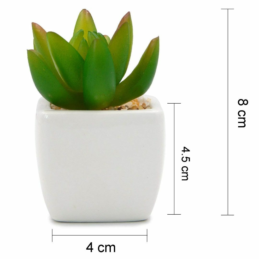 TOSSOW 人工多肉植物 ミニ 人工観葉植物 造花 枯れない インテリア 4点 その他のその他(その他)の商品写真