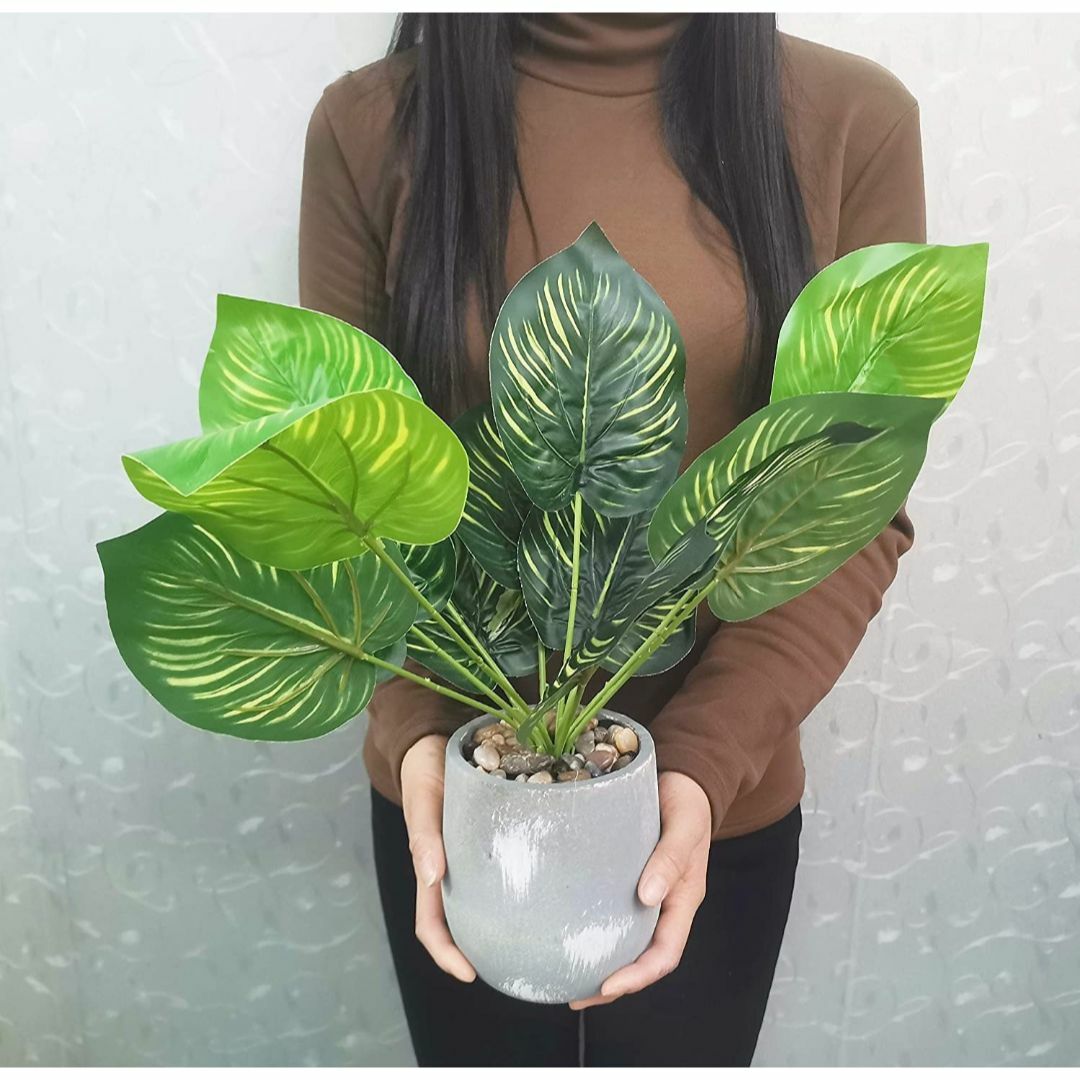 【色: カラテア】Aicvhin 人工観葉植物 インテリアグリーン モンステラ  その他のその他(その他)の商品写真