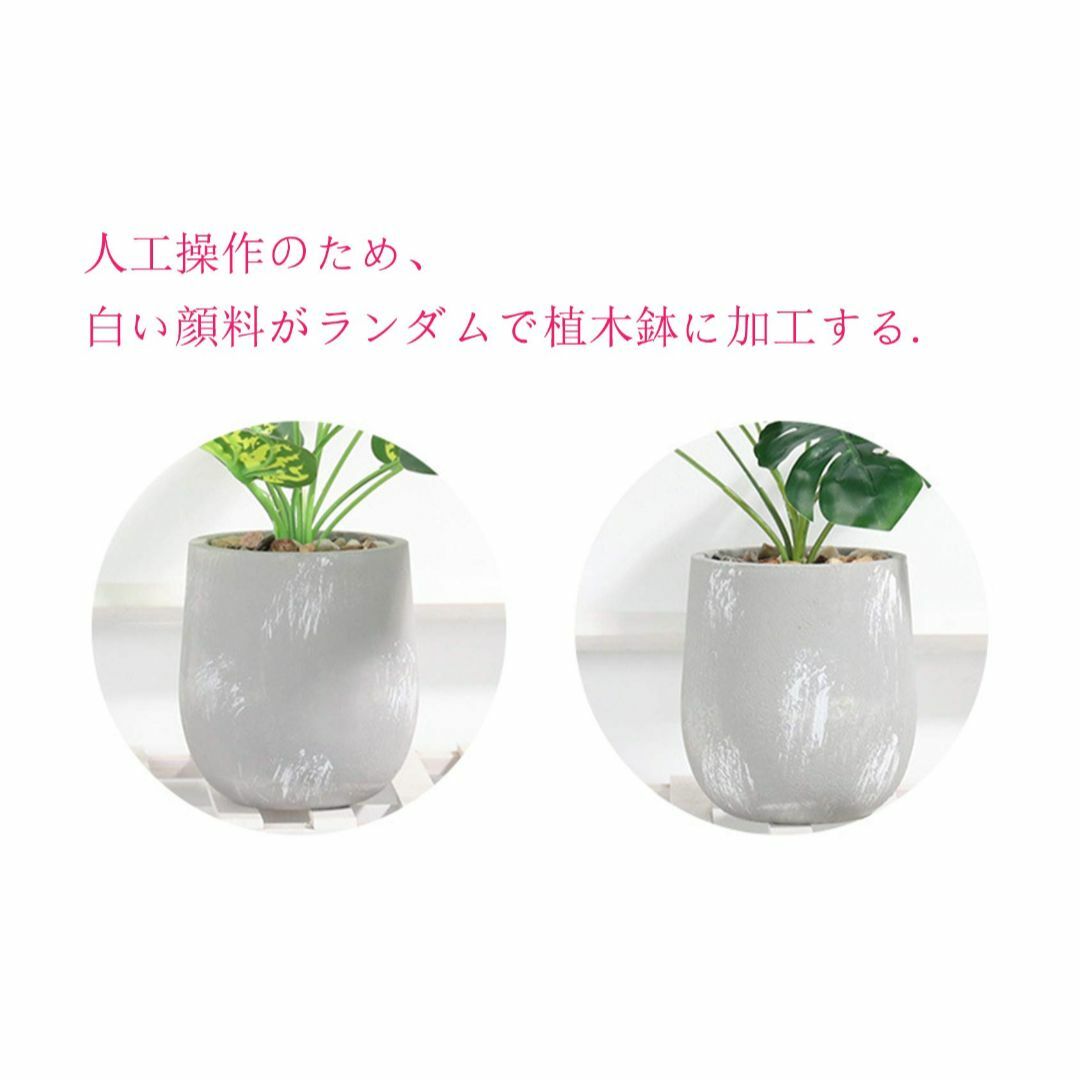 【色: カラテア】Aicvhin 人工観葉植物 インテリアグリーン モンステラ  その他のその他(その他)の商品写真