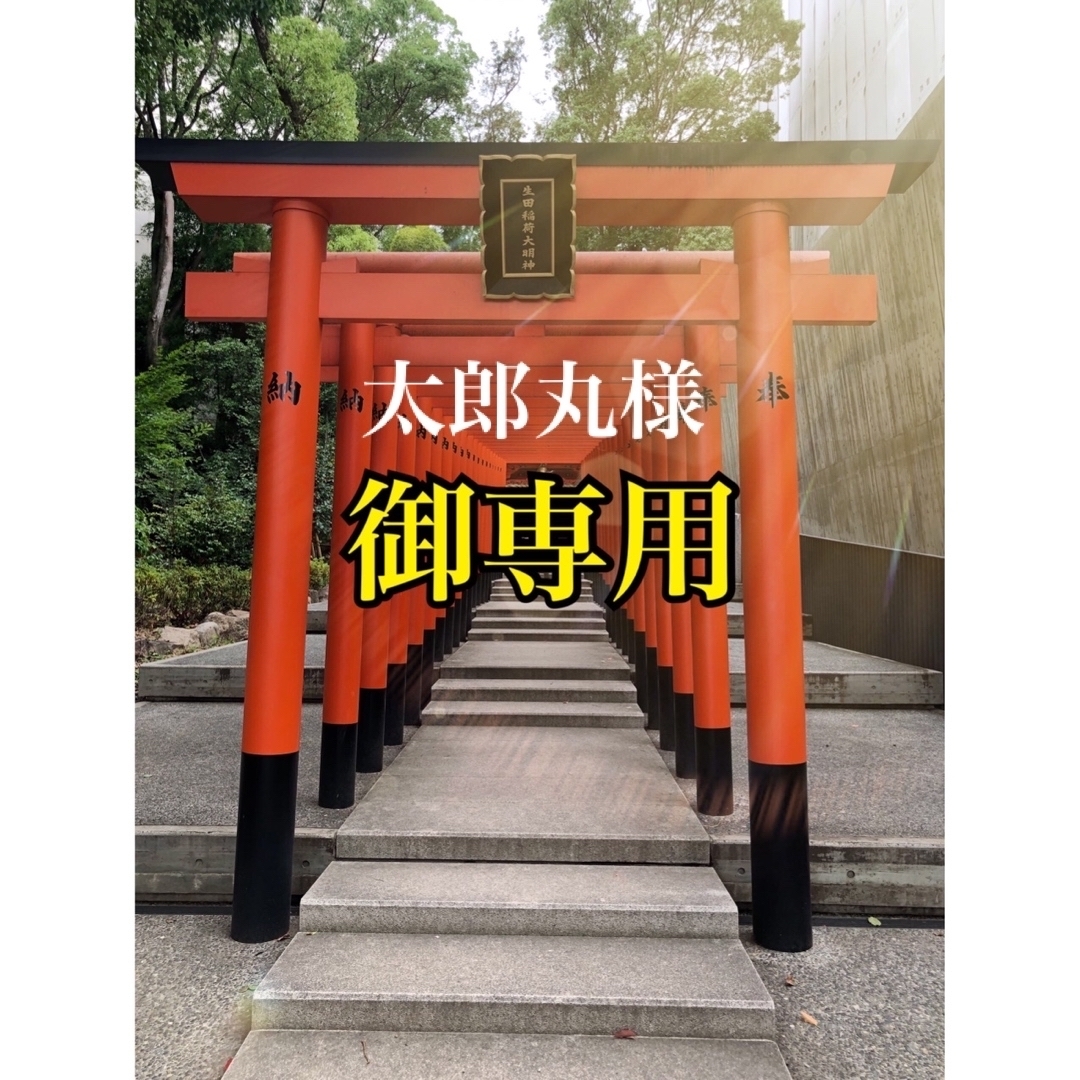 大金運◆❖白蛇様と鷹の金運アップ運気上昇御守り❖◆ 鷹の羽 白蛇 帯封 金箔 インテリア/住まい/日用品のインテリア小物(置物)の商品写真