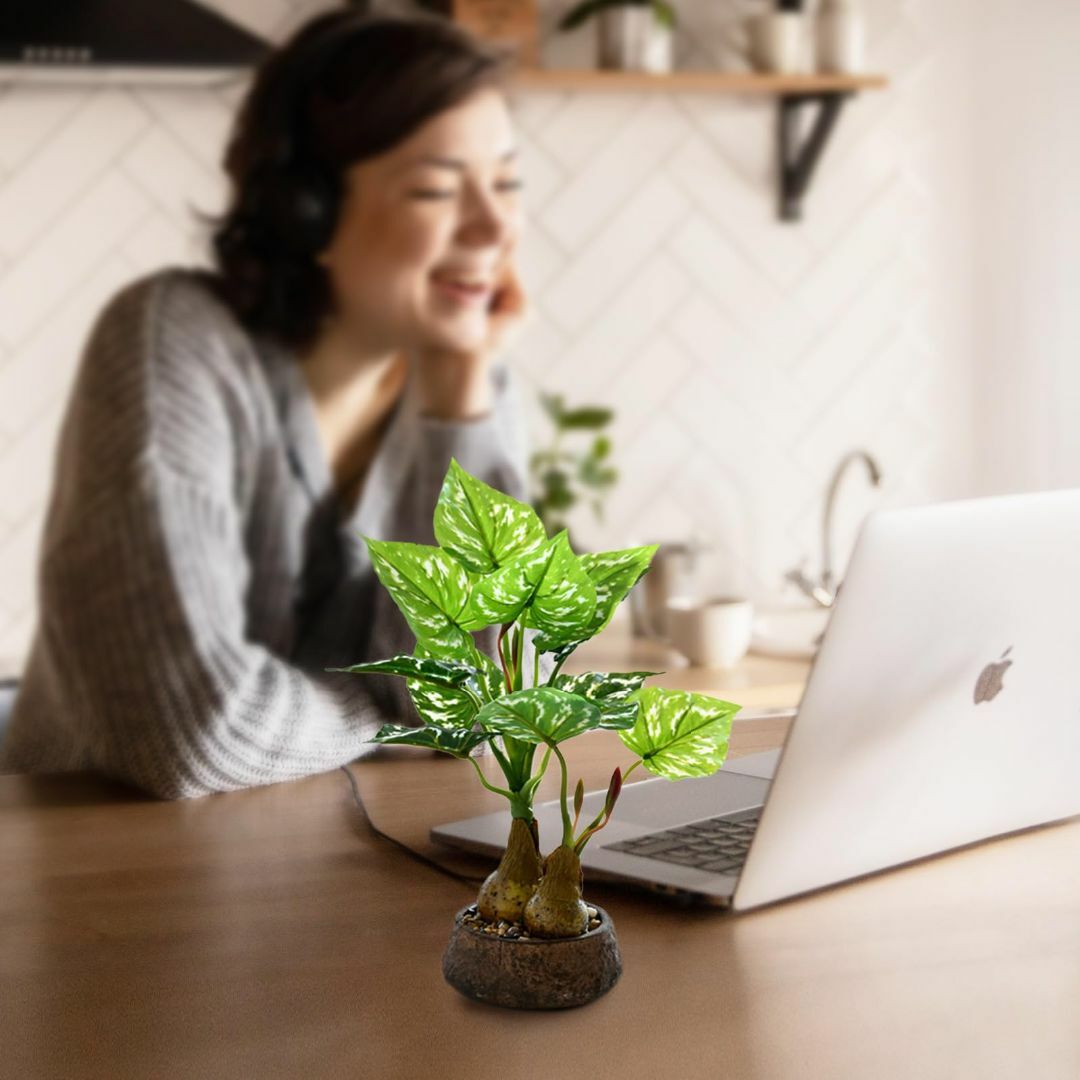 【色: D】人工観葉植物 光触媒 フェイクグリーン 人工盆栽 モンステラインテリ その他のその他(その他)の商品写真