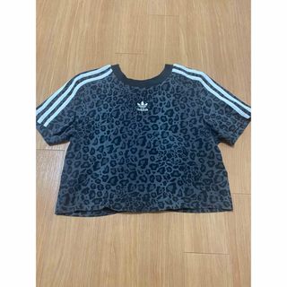 adidas - adidasショート丈ヒョウ柄Tシャツ