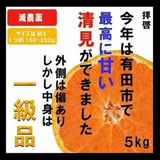 5kg【産地直送】高いコスパ！数量限定！甘い 清見 きよみ 有田みかん(フルーツ)