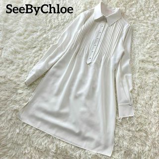 SEE BY CHLOE - 美品シーバイクロエ フロントプリーツワンピース 36 白 フレア 長袖 Aライン