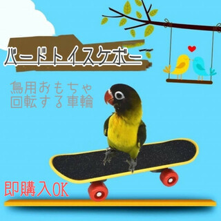 バードトイ　スケボー　鳥　おもちゃ　知育玩具　インコ　小型動物　ペット　指スケ(鳥)