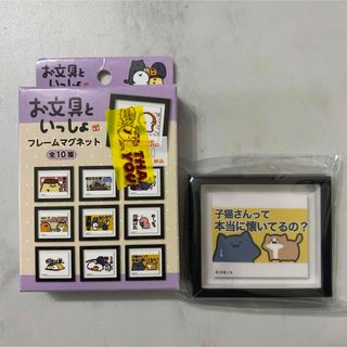 【新品】お文具といっしょ　フレームマグネット「子猫さんって本当に懐いてるの？」(キャラクターグッズ)