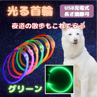 光る 首輪 グリーン LEDライト USB充電 犬 ドッグ おしゃれ 夜の散歩(犬)