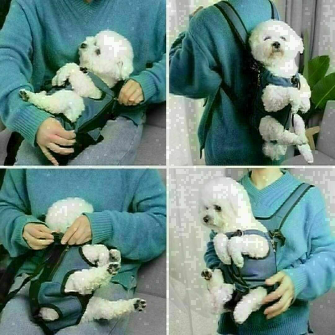 ペット 抱っこひも 犬 猫 抱っこ紐 スリング リュック ブルー XLサイズ その他のペット用品(犬)の商品写真
