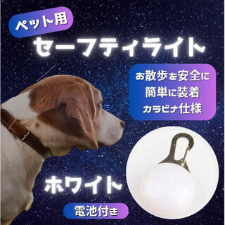 セーフティ ライト ホワイト ペット LED 散歩 犬 首輪 安全 リード(犬)