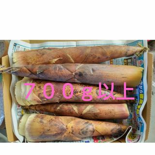 熊本県産　こさん　たけのこ　お試し　約７００ｇ(野菜)