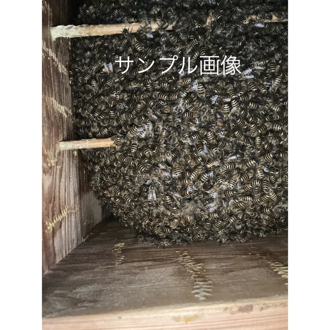日本蜜蜂重箱式巣箱の継箱三箱！ハニーズハウス用！送料無料！ その他のペット用品(虫類)の商品写真
