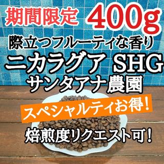 ニカラグア SHG  400g 自家焙煎 コーヒー豆 注文後焙煎(コーヒー)