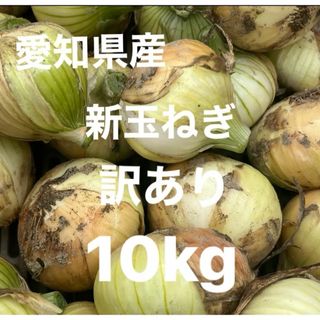 愛知県産　新玉ねぎ　訳あり10kg(野菜)