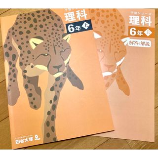 四谷大塚 予習シリーズ 小6 理科 上巻【未使用】【美品】(語学/参考書)