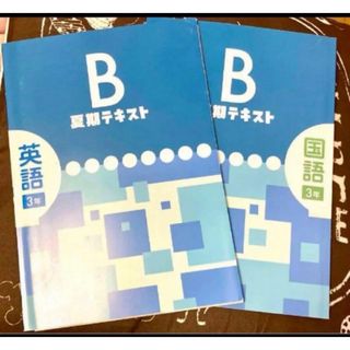 教育開発出版 夏期講習中3B 英語、国語【未使用】【美品】(語学/参考書)