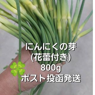 にんにくの芽800g(野菜)