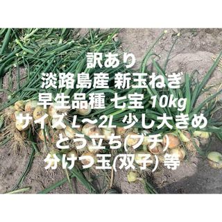 訳あり 淡路島産 新玉ねぎ 早生品種 七宝 10kg サイズM～2L ブチ、双子(野菜)