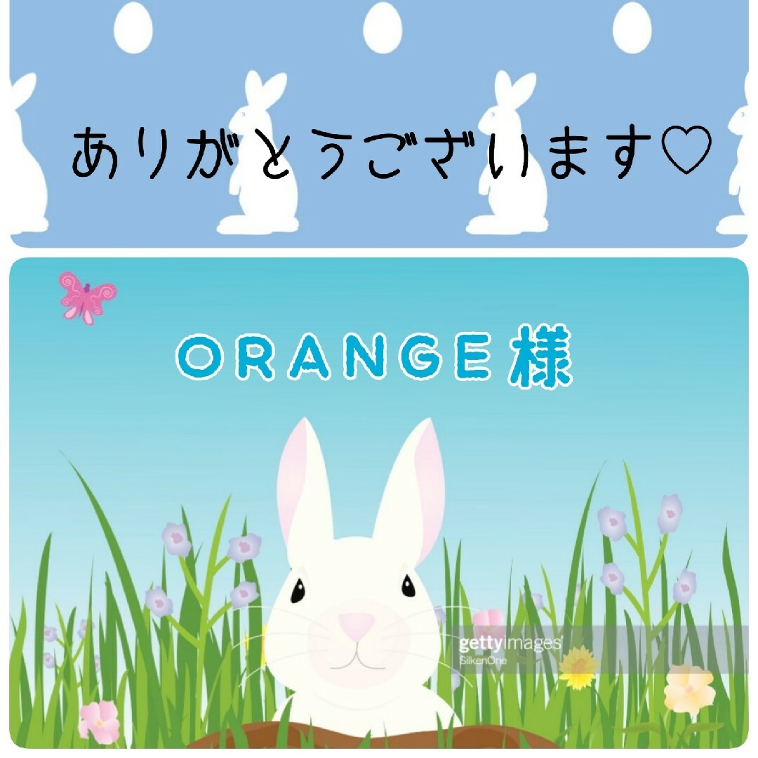 【ORANGE様】《27》 コスメ/美容のスキンケア/基礎化粧品(化粧水/ローション)の商品写真