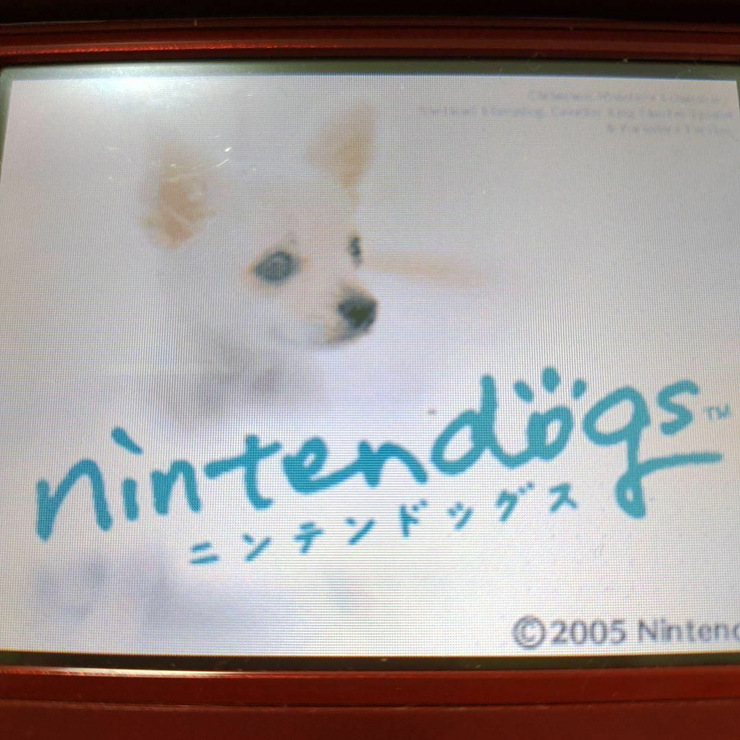 ニンテンドーDS(ニンテンドーDS)のnintendogs チワワ＆フレンズ エンタメ/ホビーのゲームソフト/ゲーム機本体(携帯用ゲームソフト)の商品写真