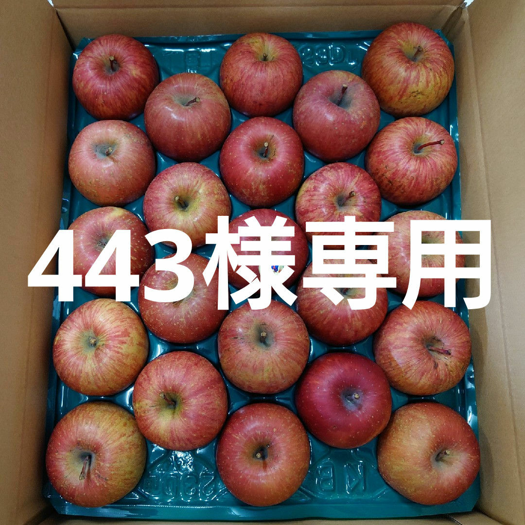 【443様専用】 食品/飲料/酒の食品(フルーツ)の商品写真