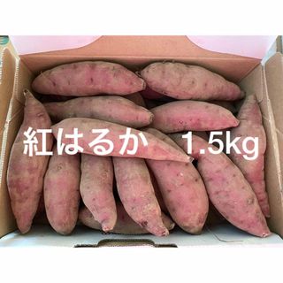 紅はるか　さつまいも　1.5kg 小さいサイズ(野菜)