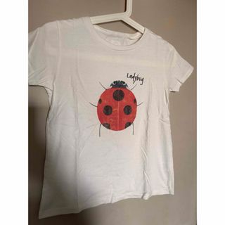 インセクトコレクション(INSECT　COLLECTION)の2枚セット☆インセクトコレクション　カマキリ先生　てんとう虫　タマムシ　Tシャツ(Tシャツ/カットソー)