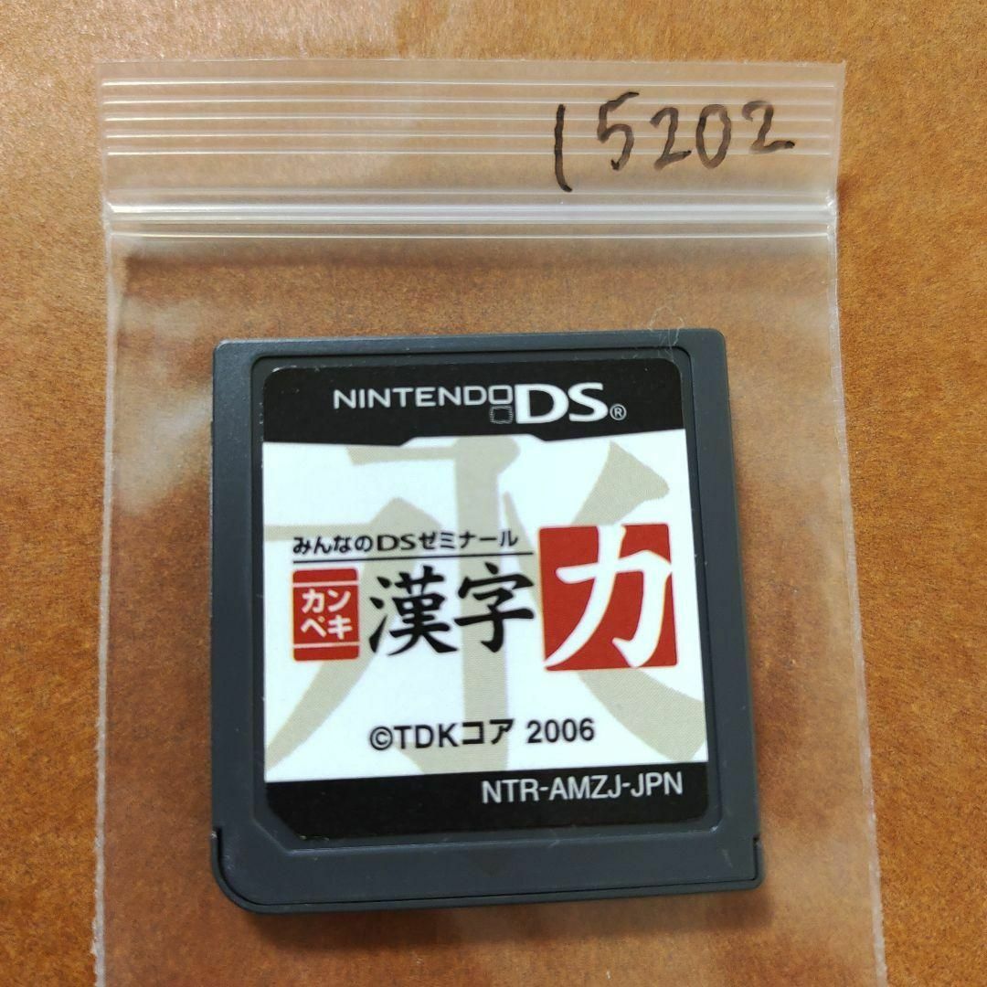 ニンテンドーDS(ニンテンドーDS)のカンペキ漢字力 みんなのDSゼミナール エンタメ/ホビーのゲームソフト/ゲーム機本体(携帯用ゲームソフト)の商品写真