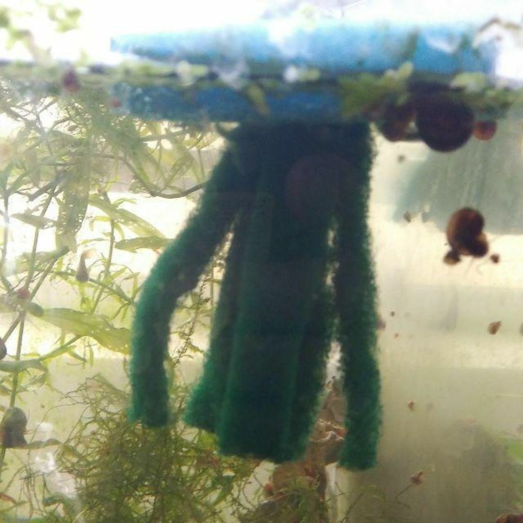 メダカ　産卵床(青)×2　足長　※研磨剤不使用 その他のペット用品(アクアリウム)の商品写真