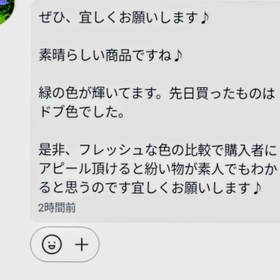 ★安心の国内産★SuperExcelent生クロレラ原液詰替用 その他のペット用品(アクアリウム)の商品写真