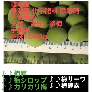 岐阜産  無消毒 化学肥料 除草剤不使用、自然任せ、青大梅、初梅  1000g