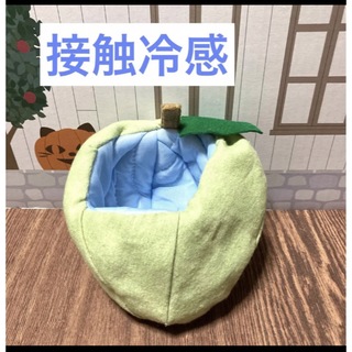 モモンガ　果物ポーチ　緑色　夏用　接触冷感使用(小動物)