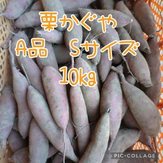 栗かぐや　A品 2Sサイズ　10kg(野菜)