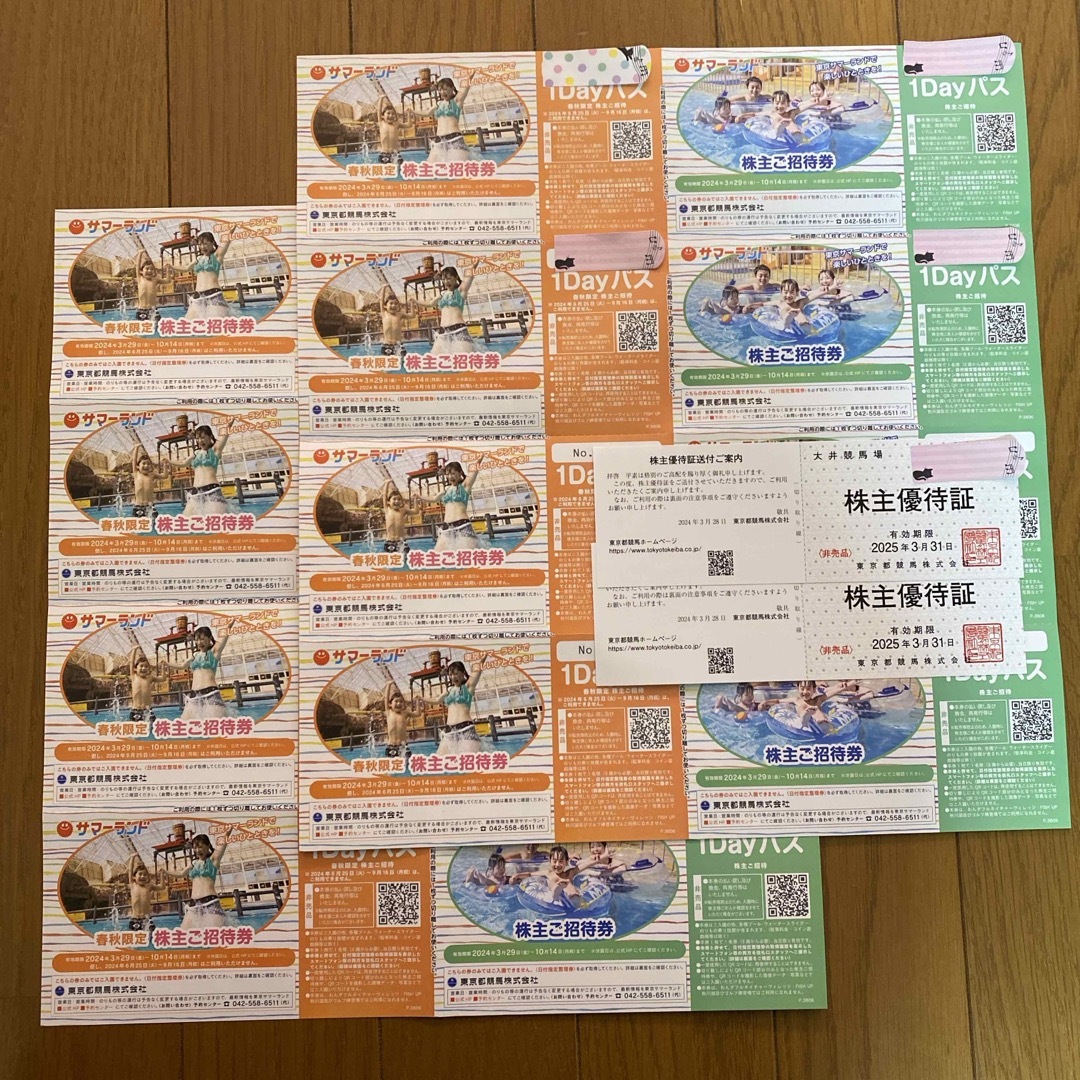 東京サマーランド　1DAYパス　大井競馬場　株主優待証 チケットの優待券/割引券(その他)の商品写真