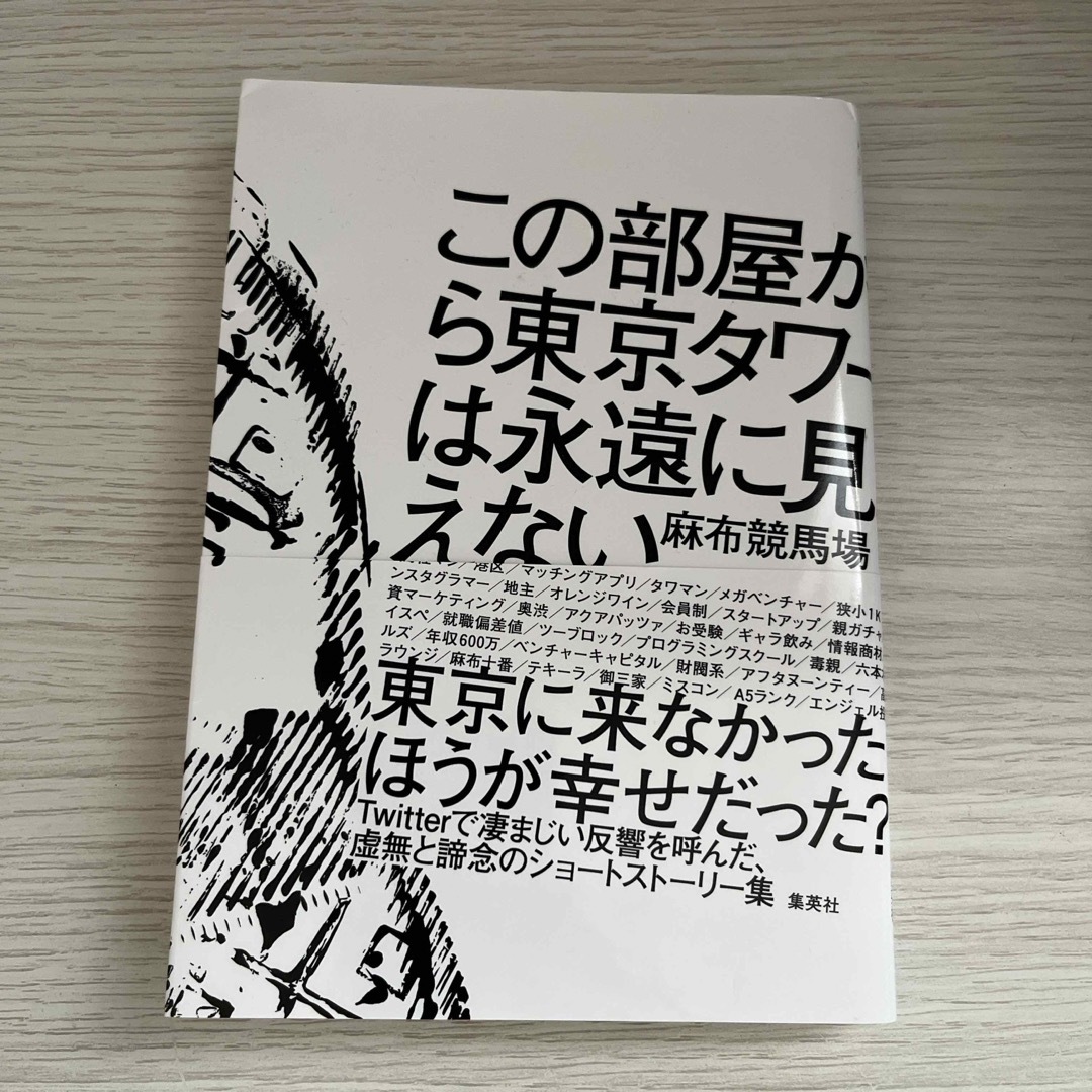 この部屋から東京タワーは永遠に見えない エンタメ/ホビーの本(文学/小説)の商品写真