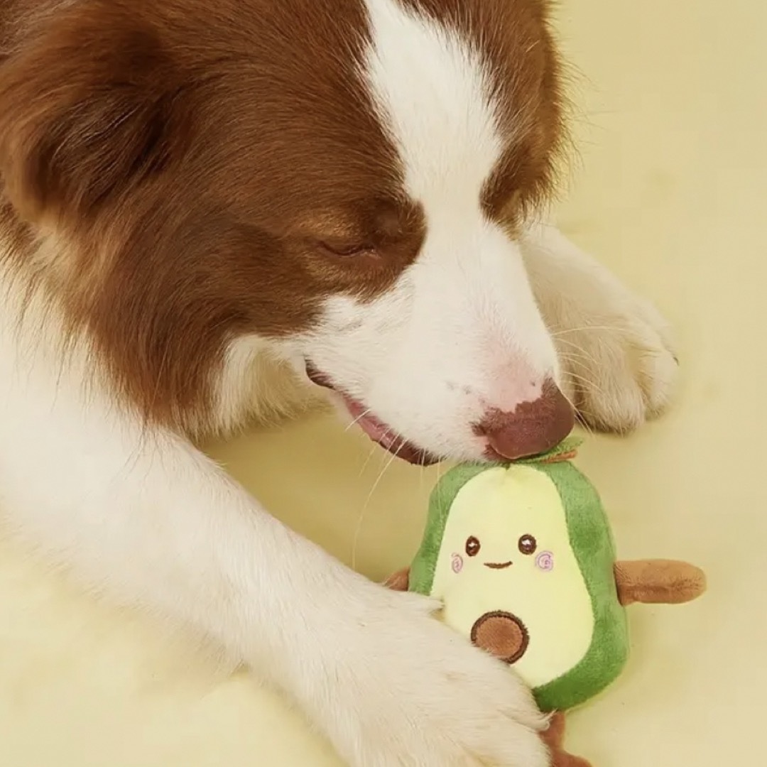 【新品未使用】犬のおもちゃ アボガドくんセット 音が鳴るおもちゃ その他のペット用品(犬)の商品写真