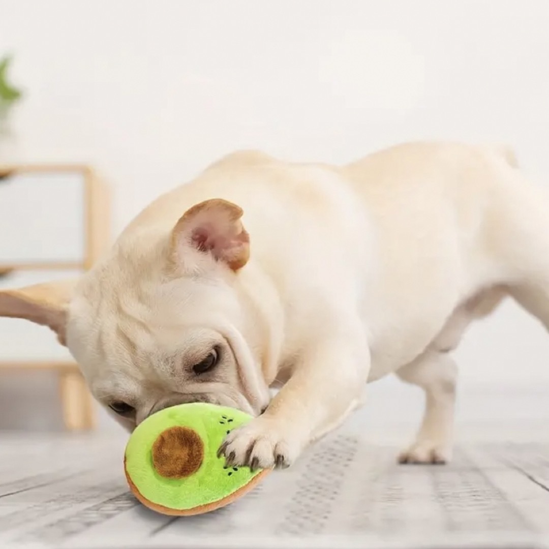 【新品未使用】犬のおもちゃ アボガドくんセット 音が鳴るおもちゃ その他のペット用品(犬)の商品写真