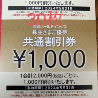 西武ホールディングス　株主優待　共通割引券(その他)