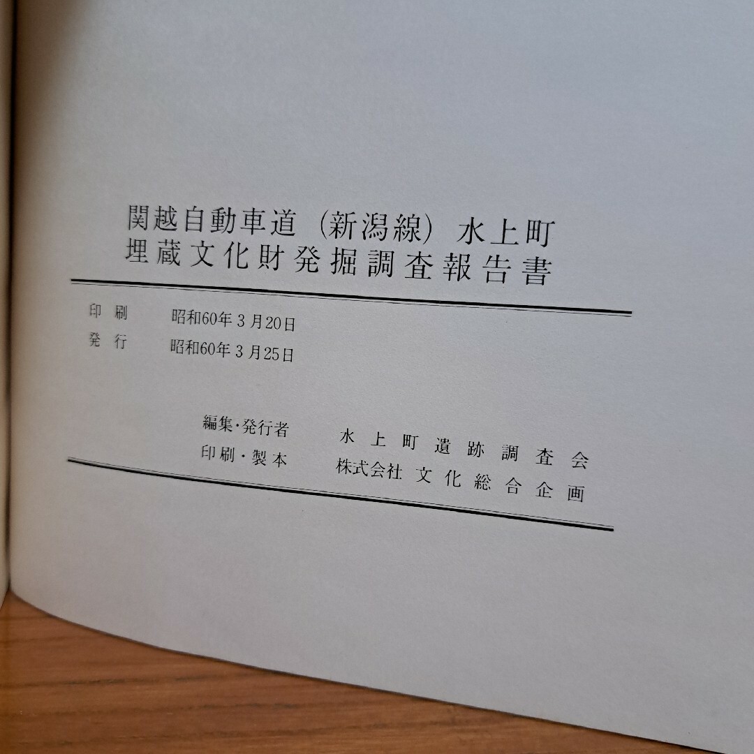 水上町埋蔵文化財発掘調査報告書 エンタメ/ホビーの本(人文/社会)の商品写真