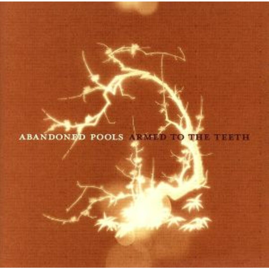 【輸入盤】Ａｒｍｅｄ　ｔｏ　ｔｈｅ　Ｔｅｅｔｈ エンタメ/ホビーのCD(ポップス/ロック(洋楽))の商品写真