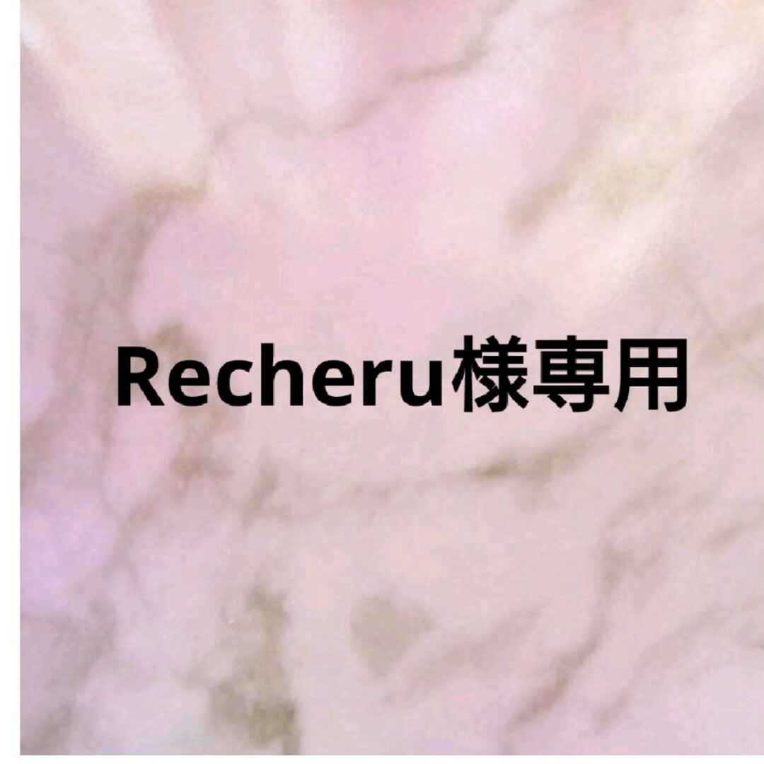 Recheru様専用☆チタンピアス５点 ハンドメイドのアクセサリー(ピアス)の商品写真