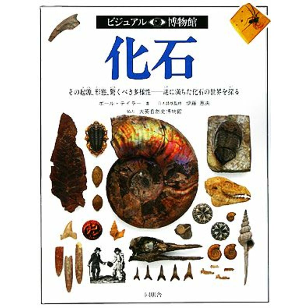 化石 その起源、形態、驚くべき多様性など・謎に満ちた化石の世界を探る ビジュアル博物館１９／ポールテイラー【著】，リリーフ・システムズ【訳】 エンタメ/ホビーの本(科学/技術)の商品写真