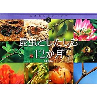 昆虫としたしむ１２か月 生きものカレンダー２／今森光彦【著】(絵本/児童書)