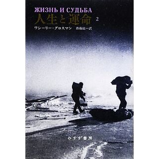 人生と運命(２)／ワシーリーグロスマン【著】，齋藤紘一【訳】(文学/小説)