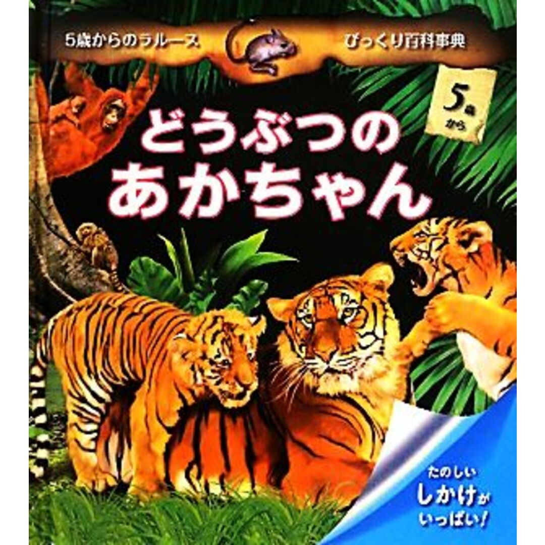 どうぶつのあかちゃん ５歳からのラルースびっくり百科事典／エリックマティヴェ【文】，サンドリーヌルフェーヴル，フランクブトヴァン，ブノワシャルル【絵】 エンタメ/ホビーの本(絵本/児童書)の商品写真