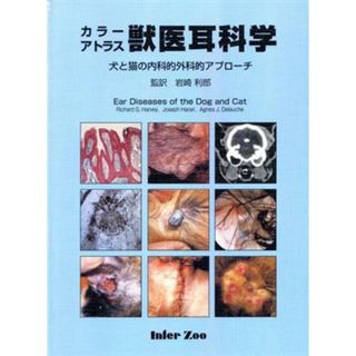 犬と猫の内科的外科的アプローチ／リチャード・Ｇ・ハーヴィー(著者),Ｊ．ハラーリ他(著者)(ビジネス/経済)