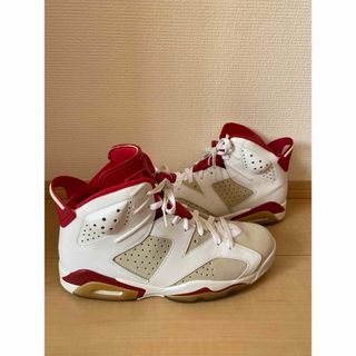 NIKE AIR JORDAN 6 alternate 27cm(スニーカー)