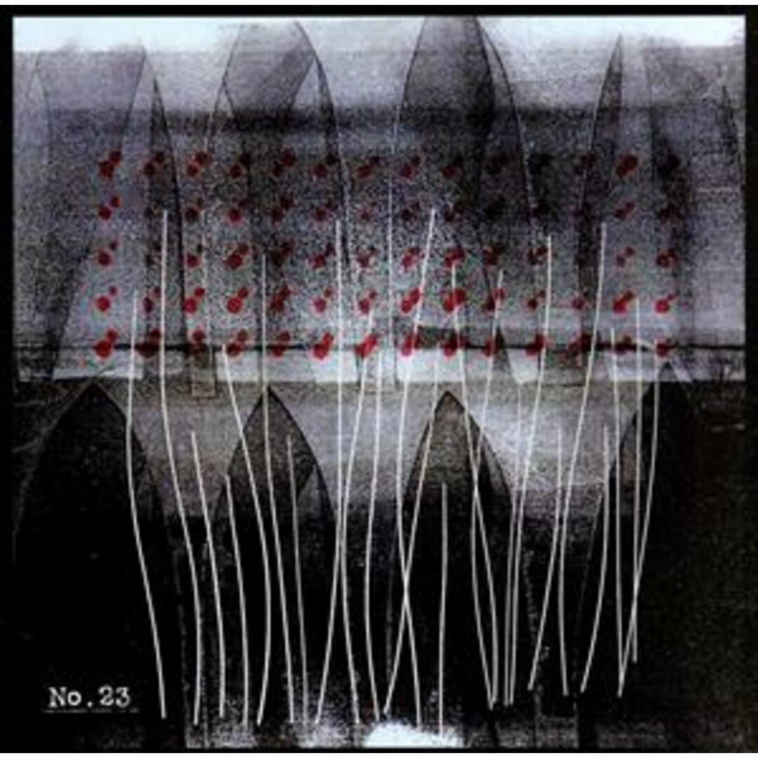 Ｎｏ．２３ エンタメ/ホビーのCD(ポップス/ロック(邦楽))の商品写真