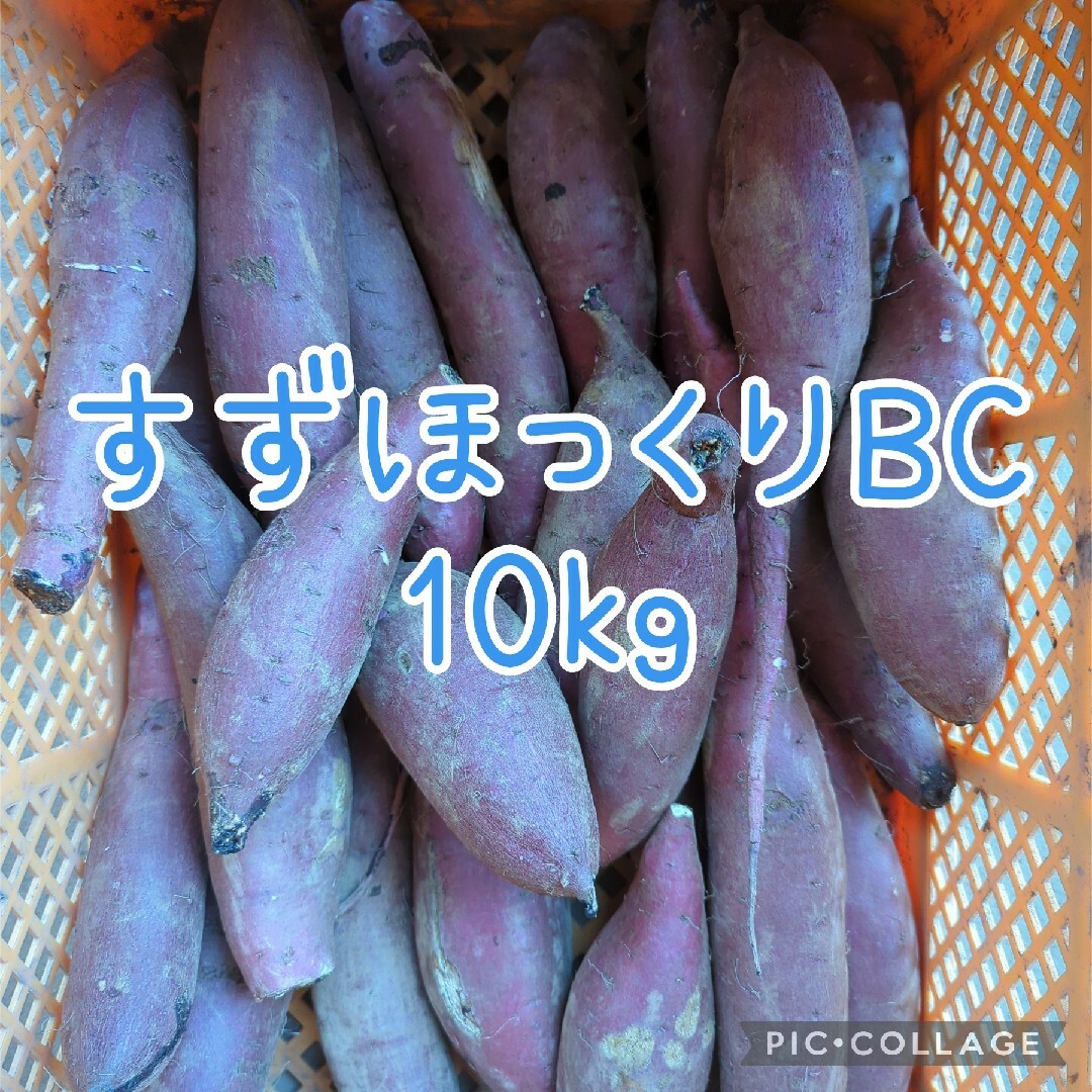 すずほっくりBC10kg 食品/飲料/酒の食品(野菜)の商品写真