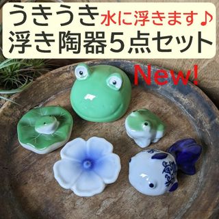 【うきうき浮き陶器五09】浮陶器5点セット　出目蛙大　蛙　蓮乗り蛙 浮花 金魚(置物)